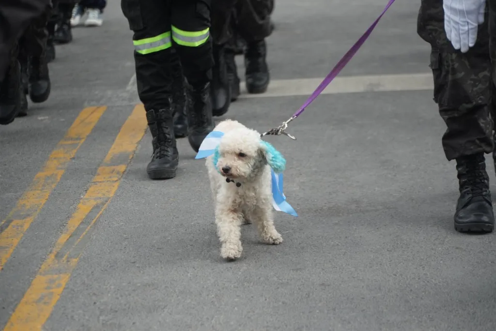 Internet_20250530_225118_2