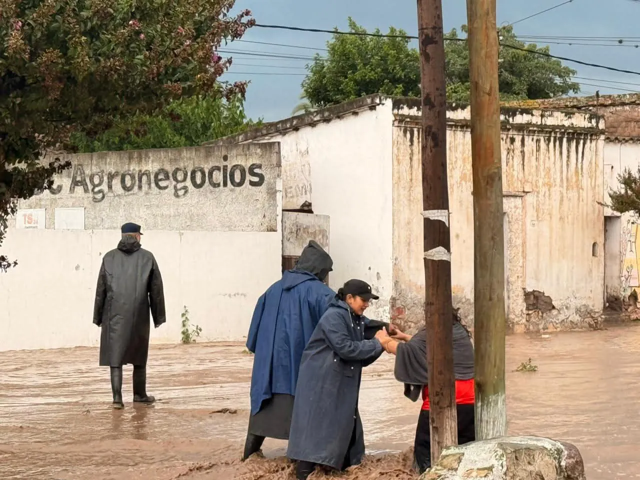 FB_IMG_1767836656629