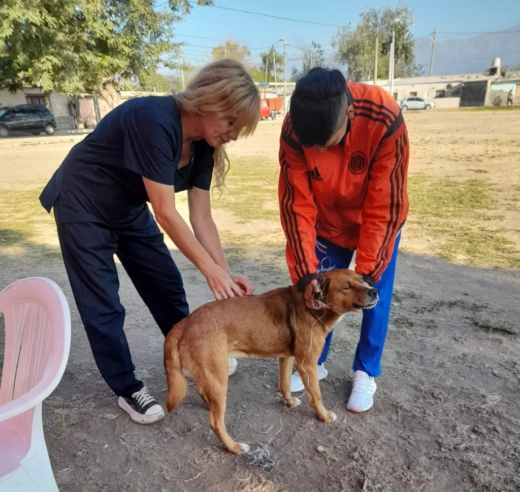 Internet_20250530_225118_3