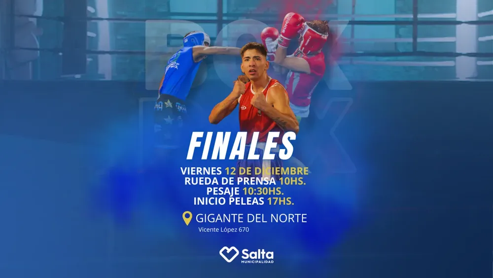 grafica-web-boxeo-final-1536x864