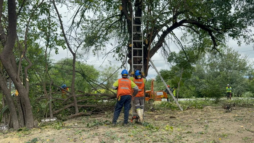 chipeo-av-gato-y-mancha-2-1024x576