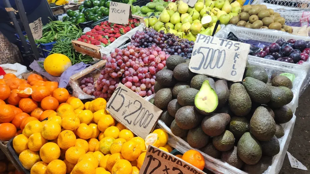 frutas-y-verduras-mercado-san-miguel-anexos-1-1536x864
