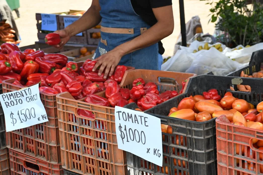 mercado-en-tu-barrio-en-roberto-romero-3