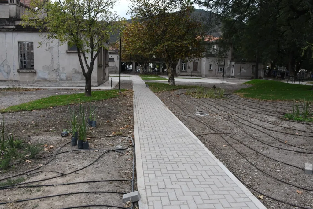 Internet_20250513_154704_2