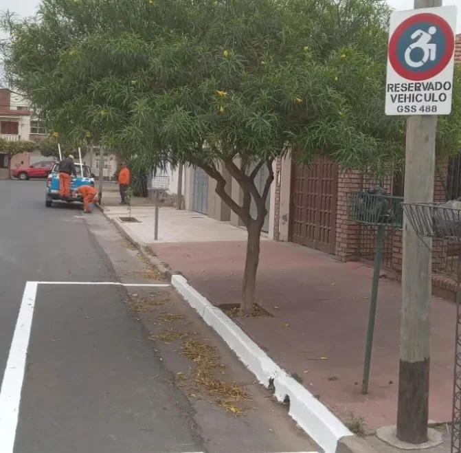 darsenas-exclusivas-768x708-2