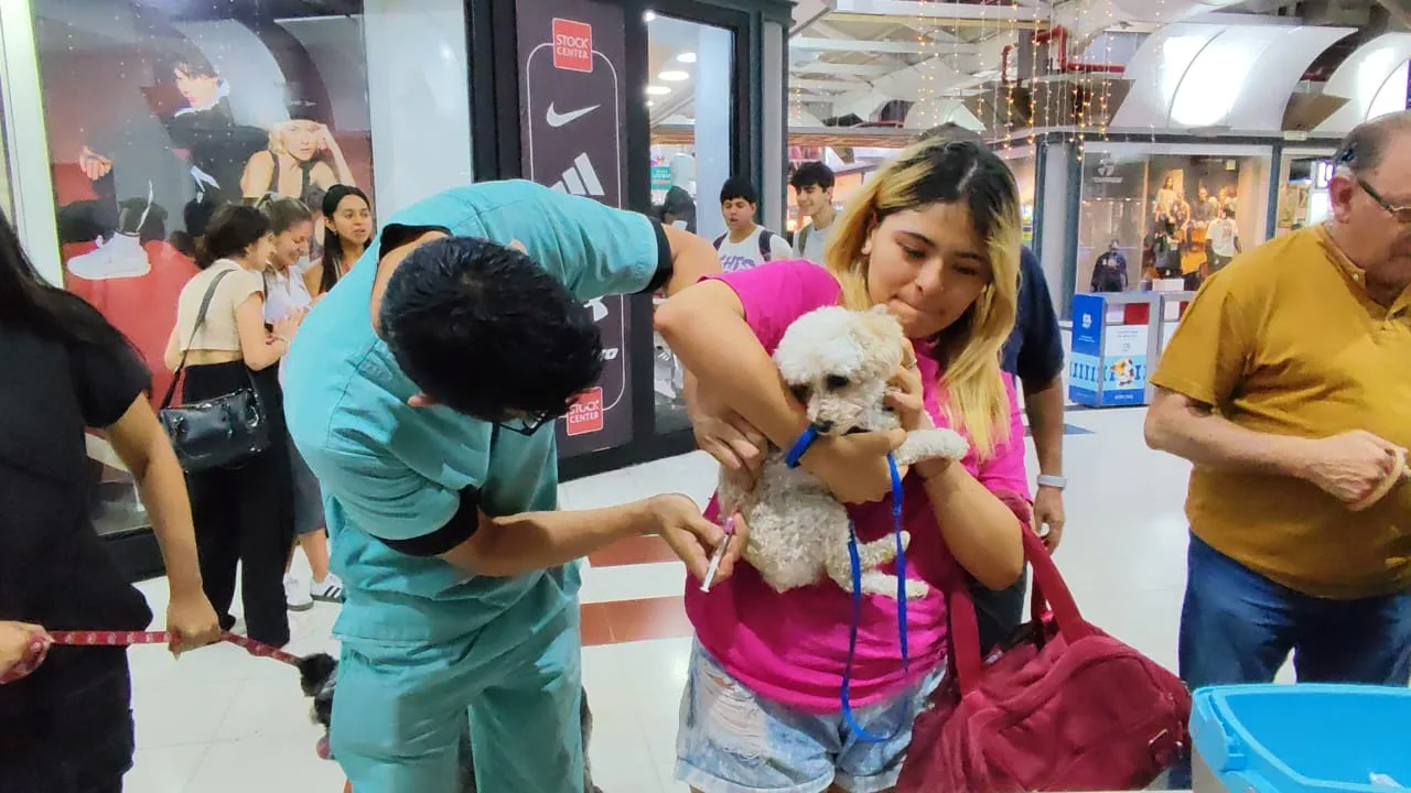 vacunacion-antirrabica-shopping-alto-noa-jpeg