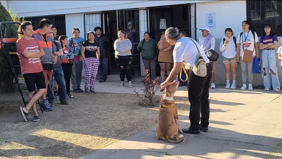 Screenshot_20250902_124515_Samsung Internet