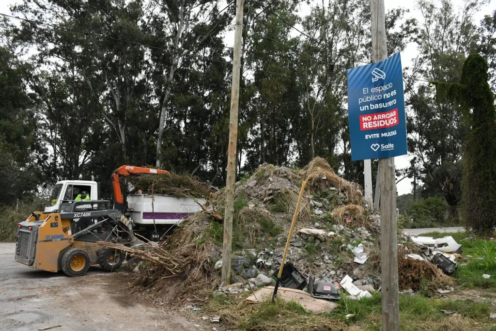 limpieza-en-terreno-de-limache-4-1024x683