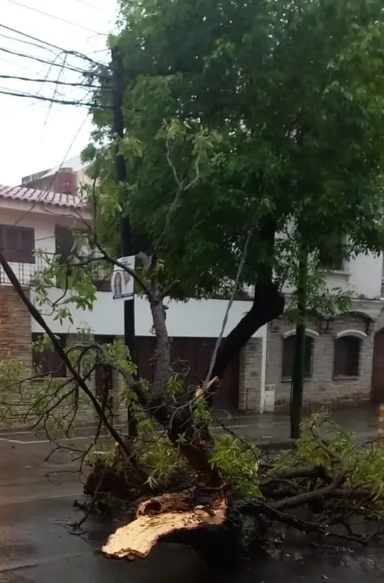 incidentes-por-lluvia
