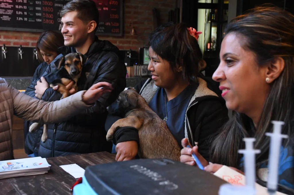 Internet_20250529_210144_2