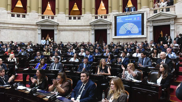 para-que-un-decreto-quede-sin-efecto-es-necesario-que-ambas-camaras-lo-rechacen-foto-camara-de-diputados-YHTIVZ5GSVG35AEITQFCYRET5Y