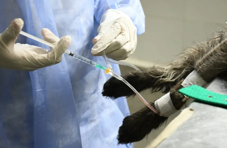 Screenshot_20250626_223747_Samsung Internet