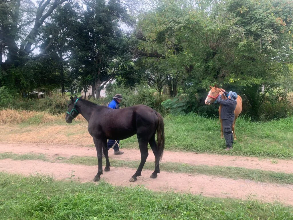 WhatsApp-Image-2026-04-09-at-13.41.14-1024x768