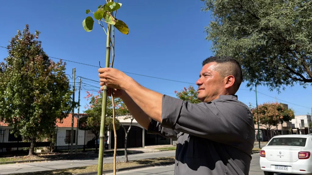 plantacion-de-arboles-en-zona-norte-1-1024x576