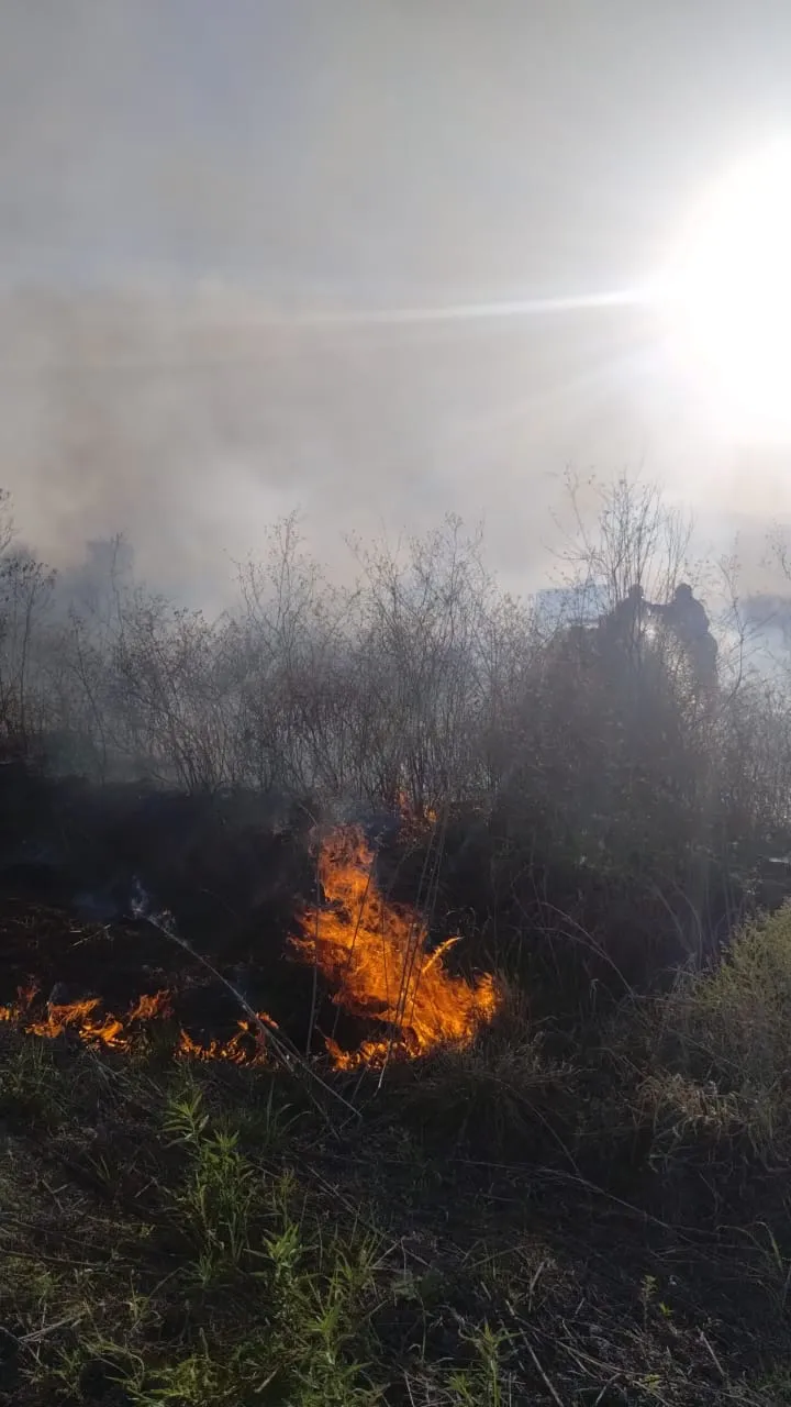 WhatsApp-Image-2025-10-09-at-18.55.30-1-1